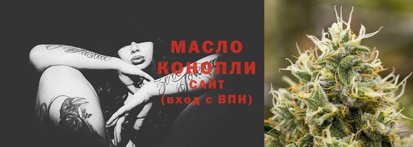 мдпв Весьегонск
